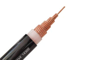 未 命名 图片-2023-05-17T104546.909