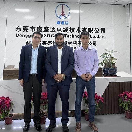 Visitas de clientes indianos XSD - Explorando oportunidades de colaboração de projetos de armazenamento de energia