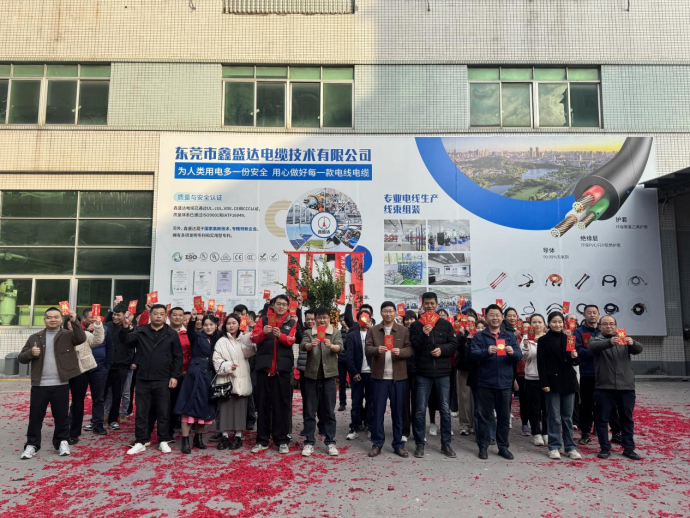 O XSD Cable começa 2025 - um ano de crescimento e sucesso!