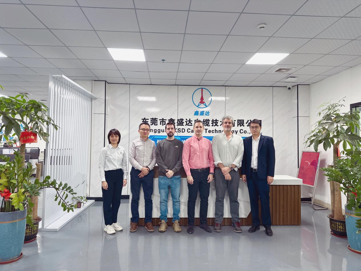 Cliente espanhol visita o cabo XSD para consulta de produção pré-massa