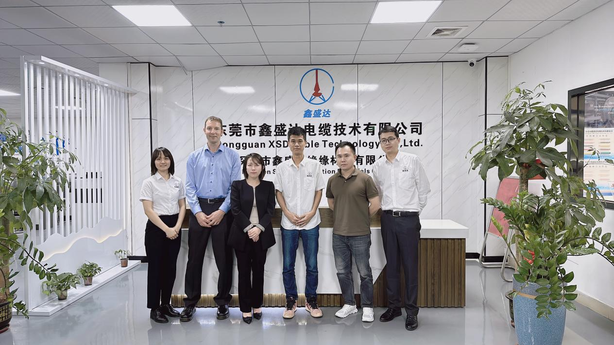 Colaboração bem -sucedida entre o cabo XSD e o novo cliente alemão de energia