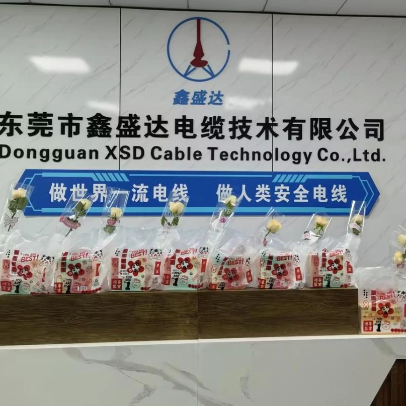 Celebrando nossas mulheres na força de trabalho: Dia Internacional da Mulher no XSD Cable